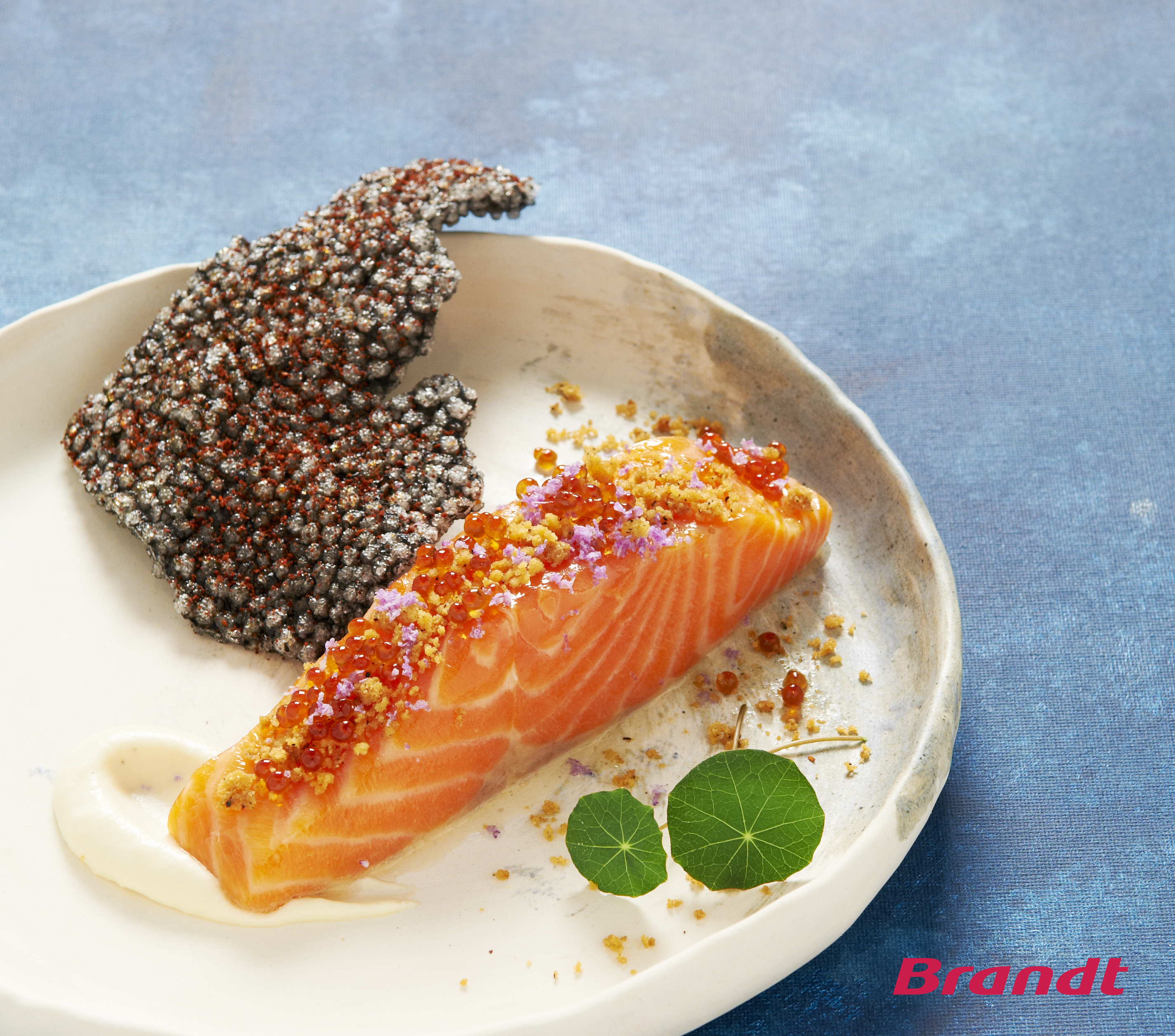 spiced-confit-salmon-trout spiced-confit-salmon-trout